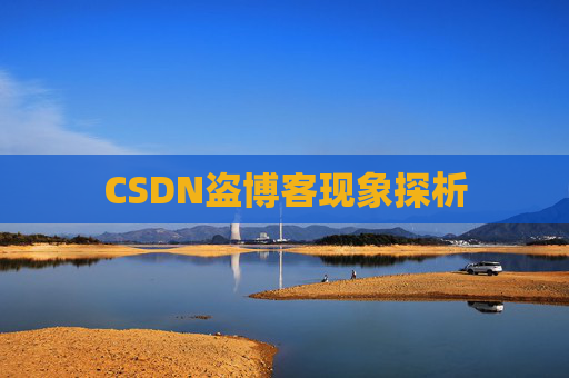 CSDN盗博客现象探析